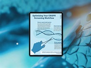 Infographic: Optimizing Your CRISPR Screening Workflow