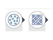 qPCR or dPCR: Choosing the Right Solution for Your Research Needs