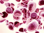 Counting Cells by Manual and Automated Methods