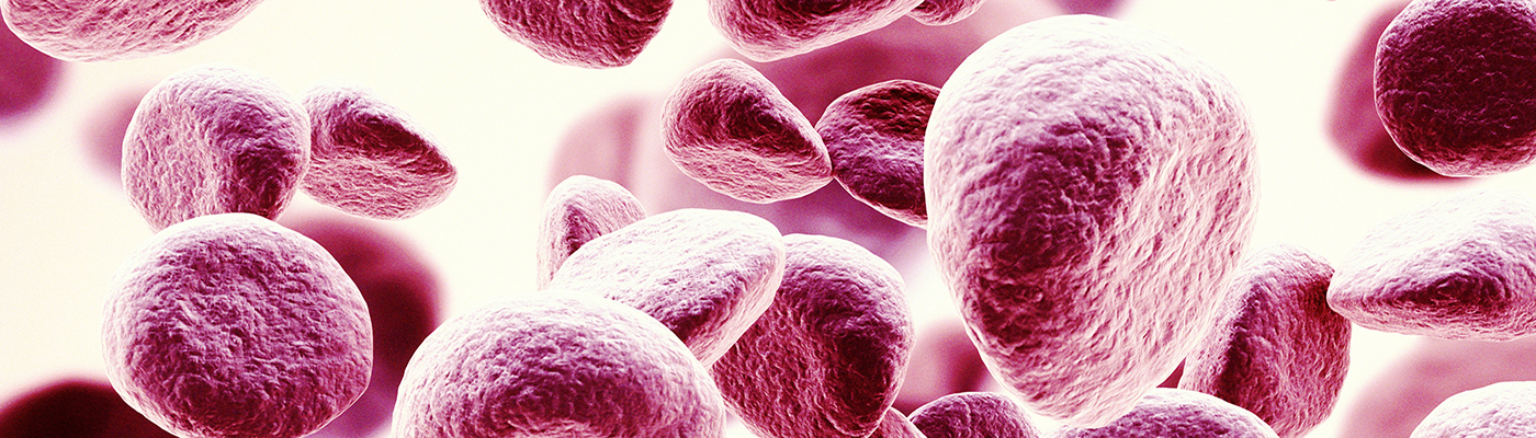  Counting Cells by Manual and Automated Methods