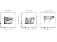 Ly6C Antibody with Great Resolution and Little Spillover