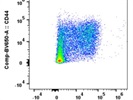 CD160 Antibody with Great Resolution