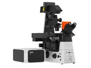 Nikon AX/AX R Confocal Microscope System