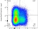 Great LAG-3 Antibody for the Detection of Tr1 Cells