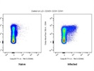 Great Antibody to Detect TIM-3 on T Cells