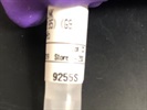 Phospho-SAPK/JNK Antibody for Western Blot