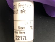 S6 Ribosomal Protein Antibody Works Well for Western Blot