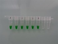 Easy PCR with GoTaq G2 Hot Start Green Master Mix