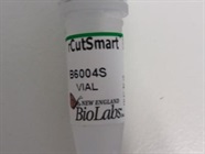 Cloning Reactions with RCutSmart Buffer