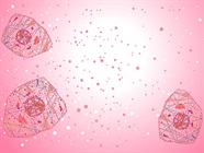 Cytokine Detection with Multiplex Immunoassays
