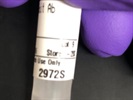 Great mTOR Antibody for WB
