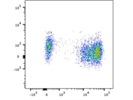 Reliable and Strong CD56 for Human NK Cells