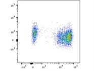 Reliable and Strong CD56 for Human NK Cells