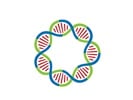 Plasmid DNA Production and Purification