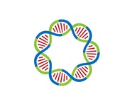 Plasmid DNA Production and Purification