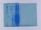 RAPIDstain Works Better than Coomassie