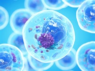 Emerging Applications for Single-Cell Technologies
