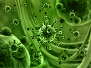 Infographic: 15 of the Deadliest Pandemics & Epidemics