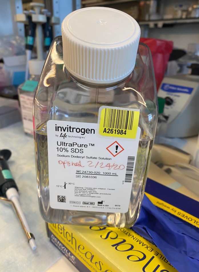 Key Reagent in the SDS Lysis Buffer Kit/Reagent Review