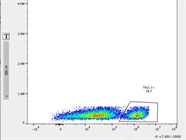 Great Thy1.1 Antibody for Flow Cytometry