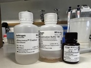 Great Staining Buffer Set for Intracellular Staining for Flow Detection