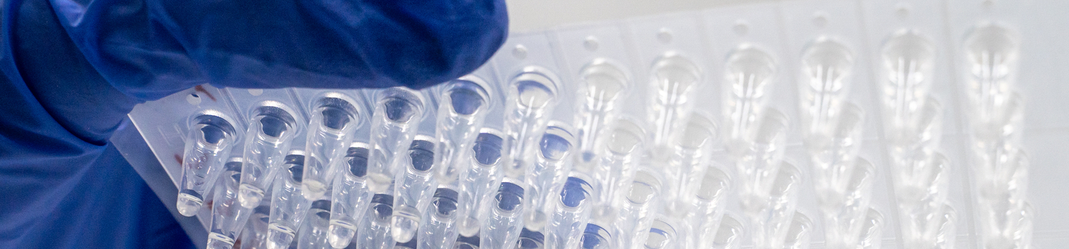  Production and Analysis of In Vitro Transcribed RNA