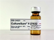 Y-27632 is a selective and potent ROCK inhibitor.