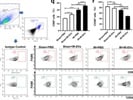 Good Anti-PerCP-Cy5.5-CD86 Antibody