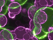 Frontiers in Live-Cell Imaging and Analysis