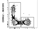 Reliable Detection of Eosinophils with CD170 Antibody