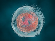 Extracting Native Proteins from Tissue Samples