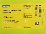 Bio-Rad's ECL Reagent Kit for Western Blot