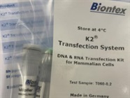 Great Transfection Reagent by Biontex
