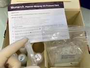 Good Plasmid Miniprep Kit from New England Biolabs