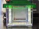 How to Produce Publication-Worthy Western Blots