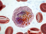 A Guide to Granulocyte Markers