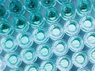 The Best Microplate Readers According to our Product Reviewers