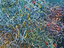Methods for Analyzing RNA Integrity