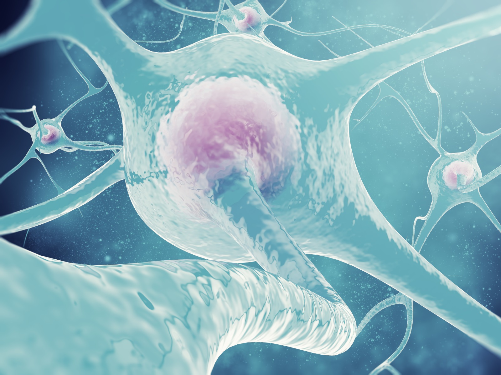  Single Cell and Spatial Multiomics Identifies Alzheimer’s Disease Markers