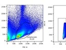 Excellent Anti-Mouse CD138 Antibody