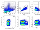 Good Anti-Mouse CD49b PE-Cy7