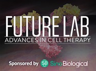 Recombinant Antibody Production in Drug Discovery