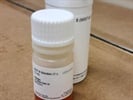Great Kit for Cell Viability and More