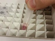 Great Pierce Lane Marker Reducing Sample Buffer for Western Blotting