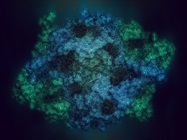 It’s All Relative: 4 Reasons Why Biomarker Discovery Commonly Uses Relative Quantification