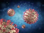 Early Immune Markers of Clinical, Virological, and Immunological Outcomes in Patients with COVID-19