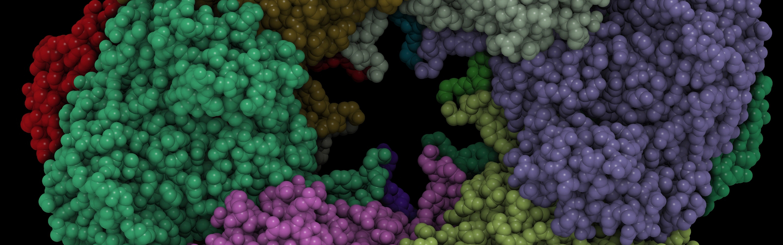  Proteomics in Proximity : An Interview with Katarina Horneaus