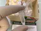 Excellent gDNA Isolation with Monarch Genomic DNA Purification Kit