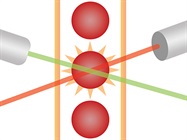 Types of Multiplex Immunoassays