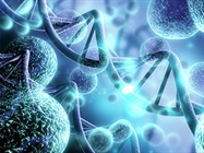 Single-Cell Analysis Applications